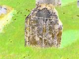 image of grave number 829444